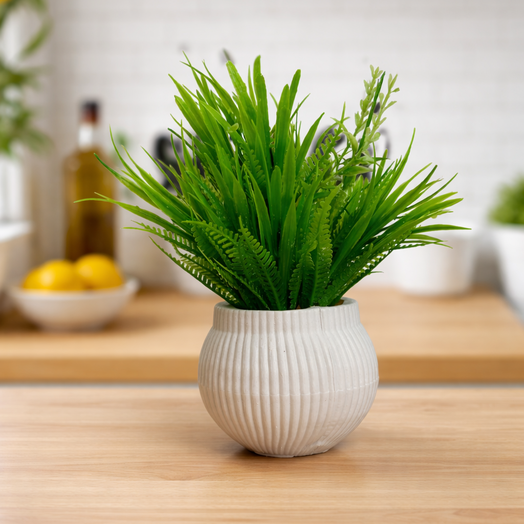 Green potted plant on a wooden surface with a blurred kitchen background
